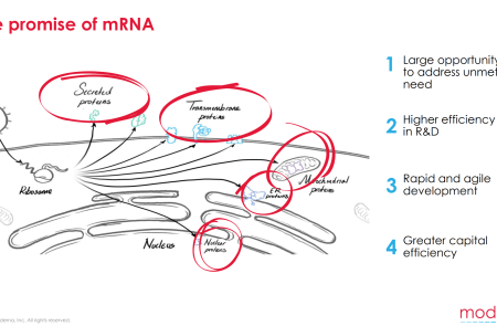 프리미엄 회원에게만 제공되는 기사입니다