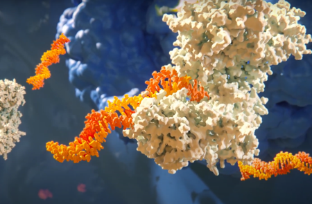 프리미엄 회원에게만 제공되는 기사입니다