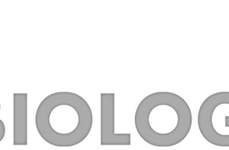 [AACR 2025] 와이바이오, pH-감응 항체 기반 차세대 ADC 연구 결과 포스터 발표