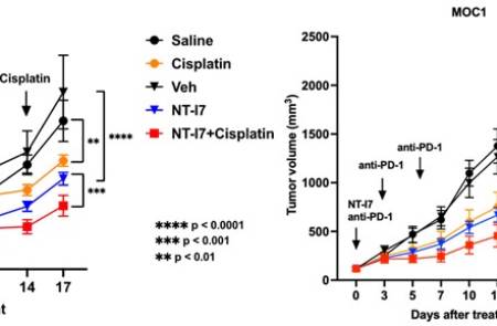[AACR 2025] 네오이뮨텍, ‘NT-I7’ 전임상 연구결과 발표