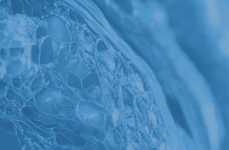 프리미엄 회원에게만 제공되는 기사입니다