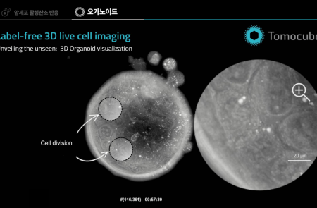 프리미엄 회원에게만 제공되는 기사입니다