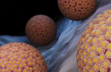 프리미엄 회원에게만 제공되는 기사입니다