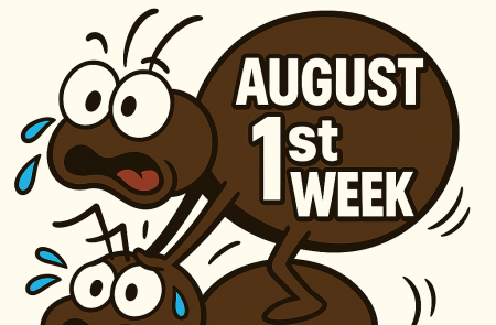 프리미엄 회원에게만 제공되는 기사입니다