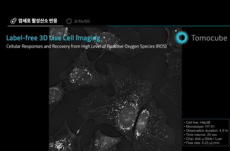 프리미엄 회원에게만 제공되는 기사입니다