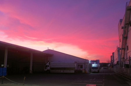 프리미엄 회원에게만 제공되는 기사입니다