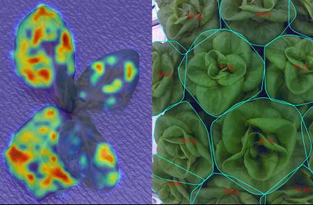 롯데이노베이트, 스마트팜에 AI 기술 접목… 생산성 혁신 나서