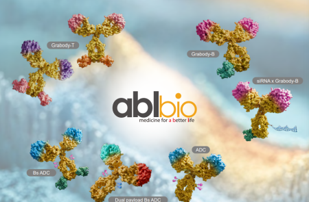 [ESMO IO] 에이비엘바이오, PD-L1x4-1BB 이중항체 6주요법서도 항암효과