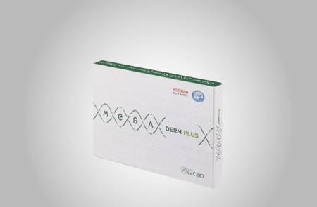 엘앤씨바이오, 中 최초 '인체조직 의료기기' 허가...中 점유율 70% 유통망 확보 "메가덤플러스 대륙 판매 본격 개시"