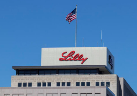 릴리, 님버스와 저분자화합물 비만 신약 13억弗 딜..일동제약 기대감up