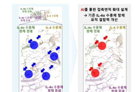 지아이이노베이션, 아토피피부염 이중융합 단백질 특허 출원 