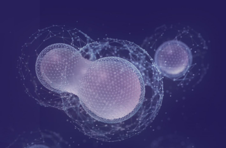 프리미엄 회원에게만 제공되는 기사입니다