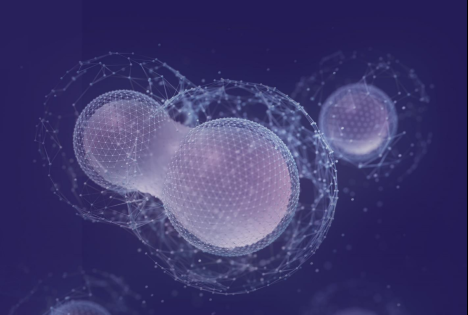 프리미엄 회원에게만 제공되는 기사입니다