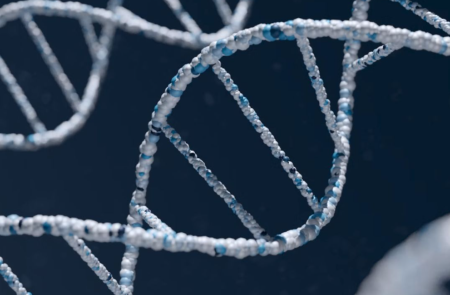 프리미엄 회원에게만 제공되는 기사입니다