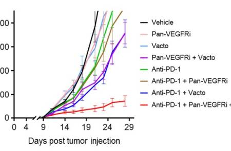 [AACR 2026] 메드팩토, '벡토서팁' 삼중병용 대장암 전임상서 "CR 최대 33%"