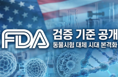 드림씨아이에스, 子큐리바이오 내세워 美 FDA 현대화법 대응..오가노이드 기술 내재화 글로벌 시장 선점