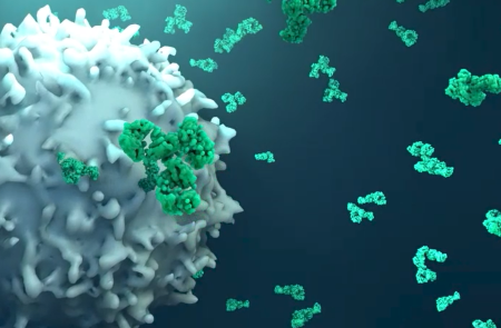 프리미엄 회원에게만 제공되는 기사입니다