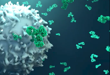 프리미엄 회원에게만 제공되는 기사입니다