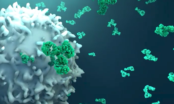 프리미엄 회원에게만 제공되는 기사입니다