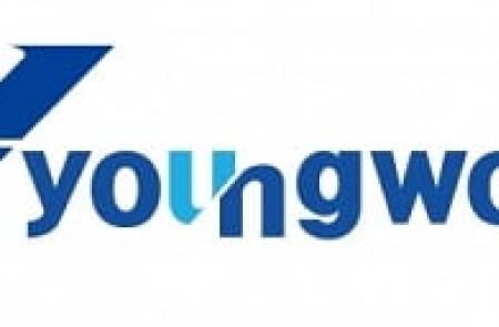 영우디에스피, 1분기 영업익 35억원 호실적 달성…디스플레이 검사장비 경쟁력 입증