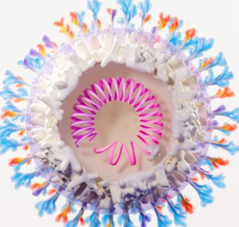 GSK, HBV ASO 3상서 '기능적 완치 19%' "전례없는 결과"..에스티팜 원료공급 주목